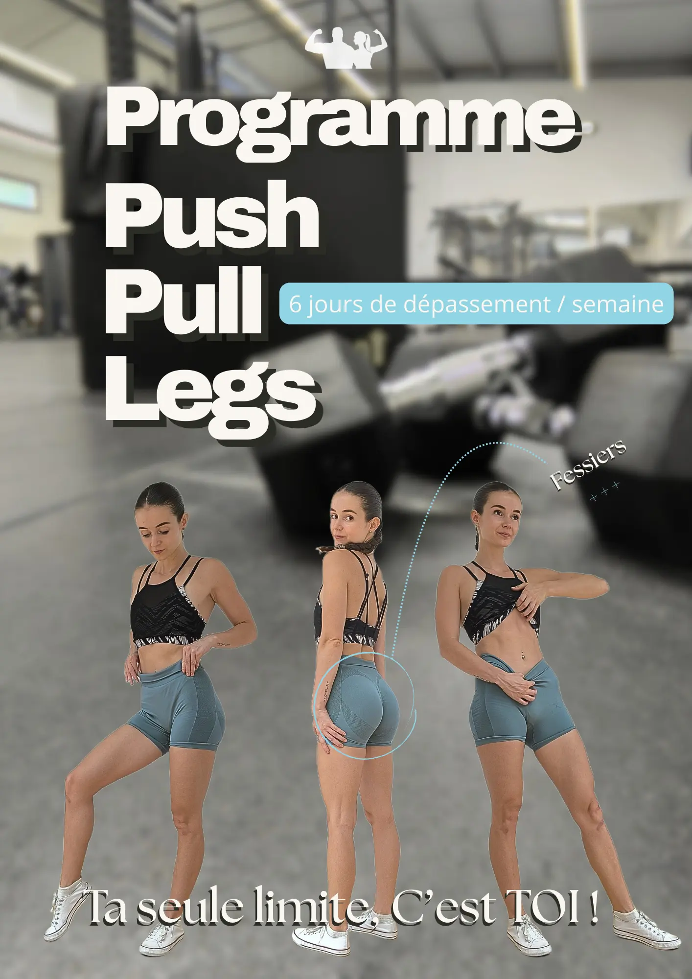 Programme push pull legs